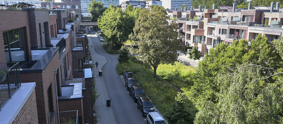 Eine Luftaufnahme zeigt die grünen Versickerungsmulden aus der Vogelperspektive