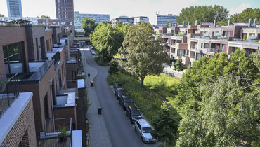 Eine Luftaufnahme zeigt die grünen Versickerungsmulden aus der Vogelperspektive