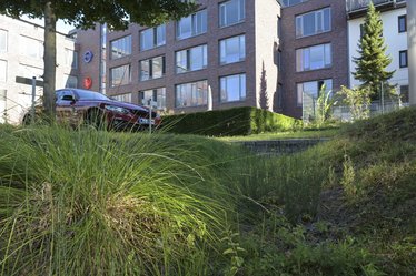 Bepflanzte Gräben fangen das Dachwasser auf und bieten Raum zur Versickerung. Durch die Gräben fließt das Regenwasser in Richtung Teich.