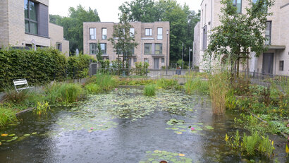 Die Rückhaltebecken schaffen hohe Aufenthaltsqualität für Anwohnerinnen und Anwohner