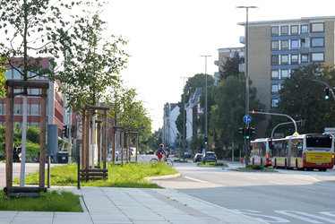 Am Straßenrand und auf Verkehrsinseln sorgen Blühwiesen für verbesserte Versickerung und mehr Biodiversität.