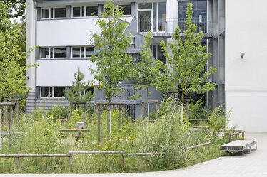 Blick auf eine Versickerungsmulde auf dem Schulhof der Stadtteilschule am Hafen