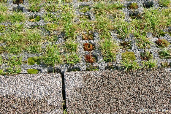 Nahaufnahme von einem Parkplatz in dem wasserdurchlässige Oberflächen hergestellt wurden