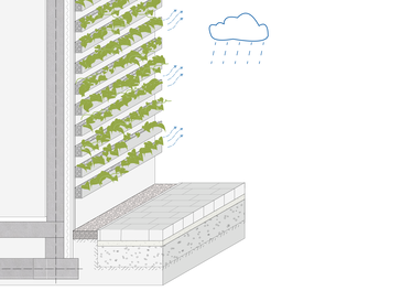 Funktionsschema einer wandgebundenen Fassadenbegrünung ©BUKEA/W