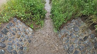 ©HAMBURG WASSER, Joerg Boethling