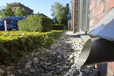 Die Regenrinnen des Neubaus sind abgekoppelt und entwässern offen in die Freianlage.