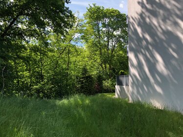 Mulde mit hohem Gras am Rand eines Wohngebäudes. Die Fläche grenzt an einen dicht bewachsenen Baumbestand und bietet eine naturnahe Begrünung des Wohnumfelds.