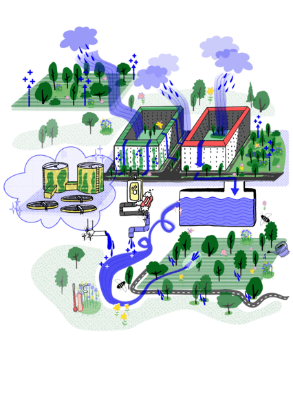 Eine Grafik, die die Wechselwirkungen von Regen und Stadtgrün veranschaulicht.