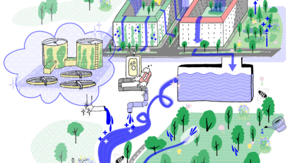 Eine Grafik, die die Wechselwirkungen von Regen und Stadtgrün veranschaulicht.