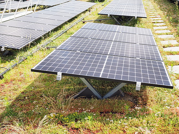 Ein begrüntes Dach auf dem Photovoltaikanlagen angebracht wurden.