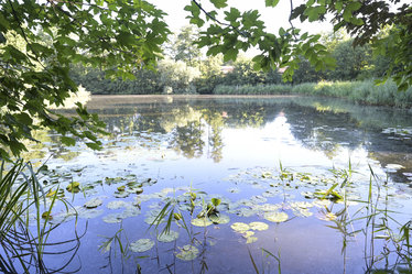 Der zentrale Teich bietet Rückhalt für das Regenwasser und erhöht zudem die Aufenthaltsqualität für die Angestellten.