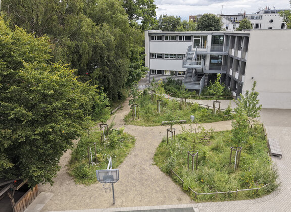 Blick von oben auf den neugestalteten Schulhof der Stadtteilschule am Hafen mit Schulwald, entsiegelten Grünflächen und Retentionsmulden
