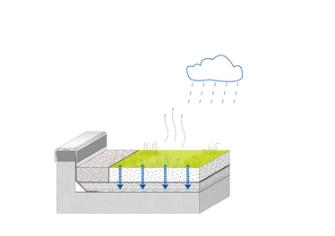 Funktionsschema einer extensiven Dachbegrünung. ©BUKEA/W