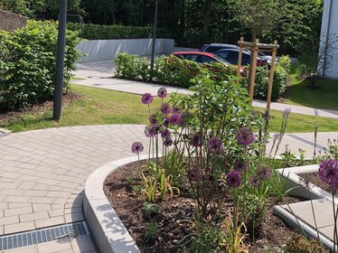 Bepflanztes Beet mit blühenden Stauden entlang eines barrierearmen Weges im Quartier. Im Hintergrund sind Bäume, Sträucher und ein Parkplatz zu sehen.