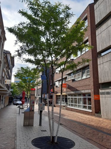 In der Fußgängerzone ist von der Baumrigole nichts zu sehen.