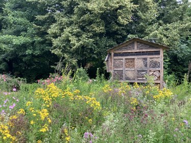 Blühwiese und Insektenhotel fördern die Biodiversität auf dem HAMBURG WASSER Gelände