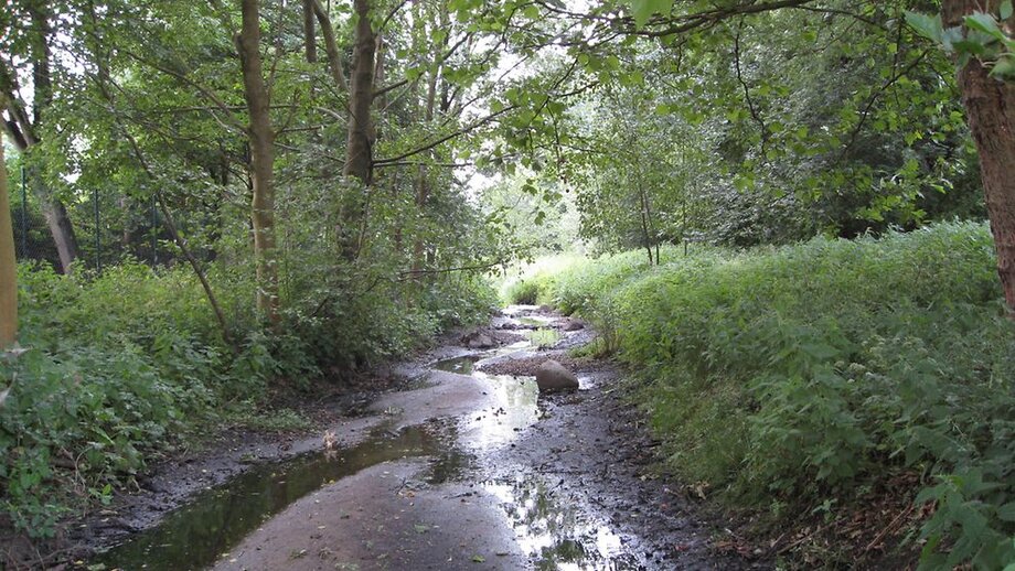 Ein Bach, der wenig Wasser führt ©BUKEA