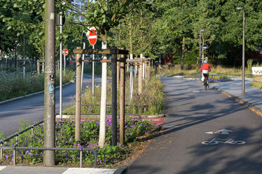 Der Grünstreifen zwischen Fahrrad- und Autospur schafft einen angenehmen Abstand für Radfahrerrinnen und Radfahrern zu den Autos.