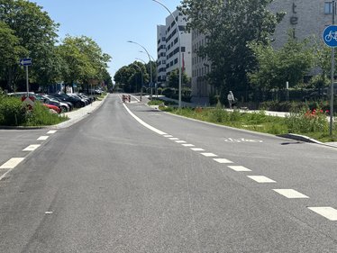 Die Straße ist beidseitig eingesäumt von Grünstreifen. Regenwasser von der Straße kann direkt in die Mulden fließen.