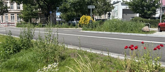 Begrünte Inseln schaffen Sicker- und Retentionsflächen im versiegelten Straßenraum.