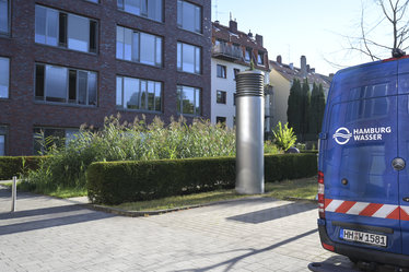 Eine mit Schilf bewachsene Fläche nimmt das Wasser aus den Regenrinnen auf und filtert es.