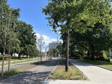 Nachdem die Straße saniert wurde ist sie für Autos nur noch einspurig. Statt zwei weiterer Autospuren wurden breite Radwege in beide Richtungen gebaut.